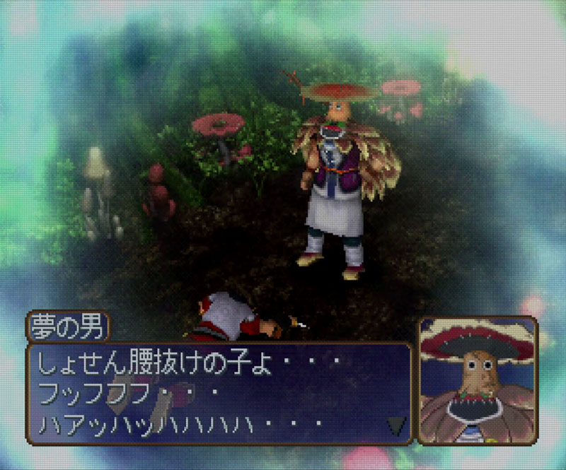 The villain of Jade Cocoon